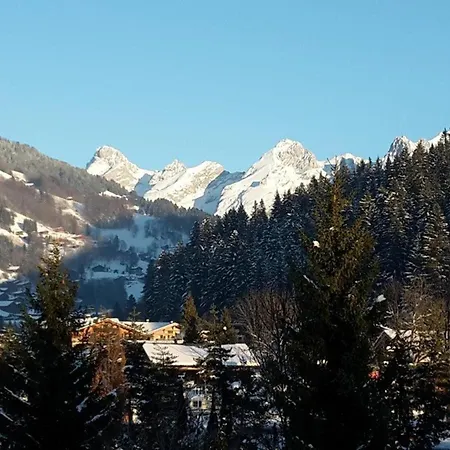 Appt 2 Pieces, 6 Pers, Centre, Animaux Permis, Menage Inclus - Fr-1-241-111 Le Grand-Bornand