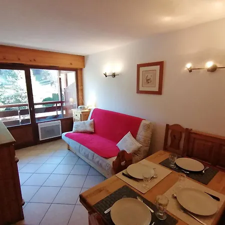 Appt 2 Pieces, 6 Pers, Centre, Animaux Permis, Menage Inclus - Fr-1-241-111 Apartment